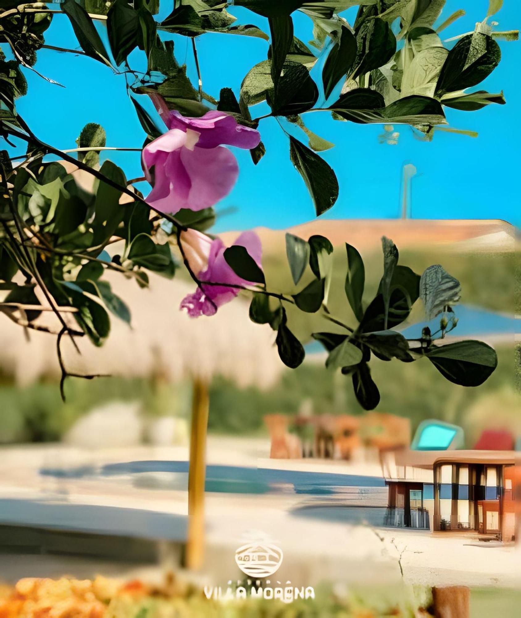 Pousada Villa Morena Порту-ди-Педрас Экстерьер фото